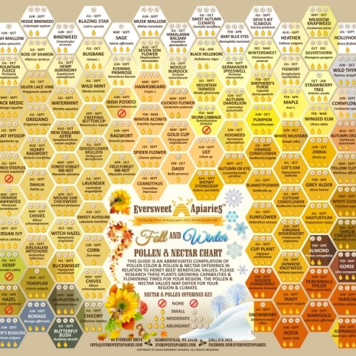 Fall/Winter Nectar & Pollen Chart