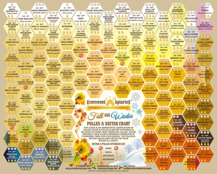 Fall/Winter Nectar & Pollen Chart