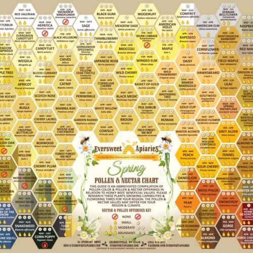 Spring Nectar & Pollen Chart