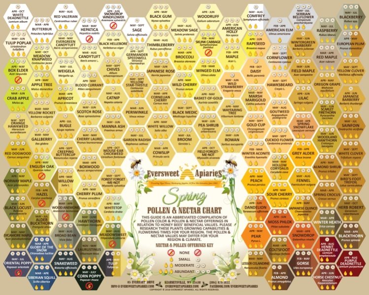 Spring Nectar & Pollen Chart