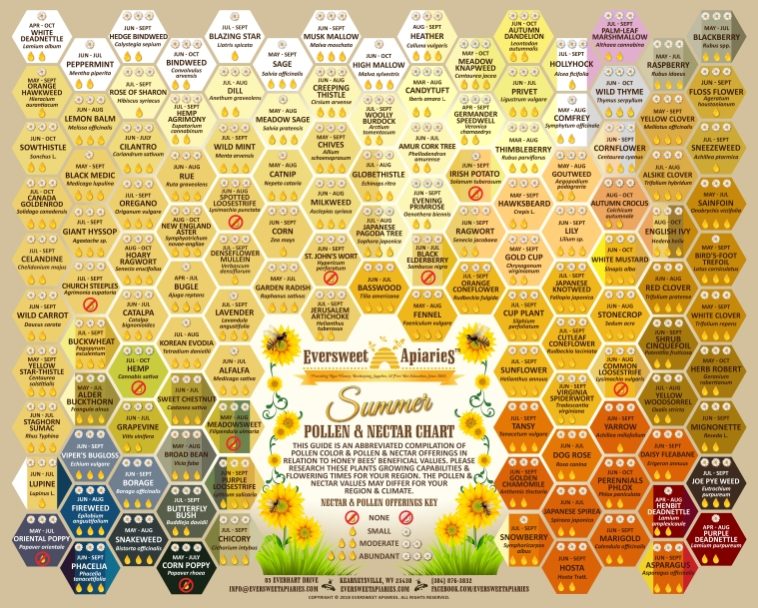 Summer Nectar & Pollen Chart