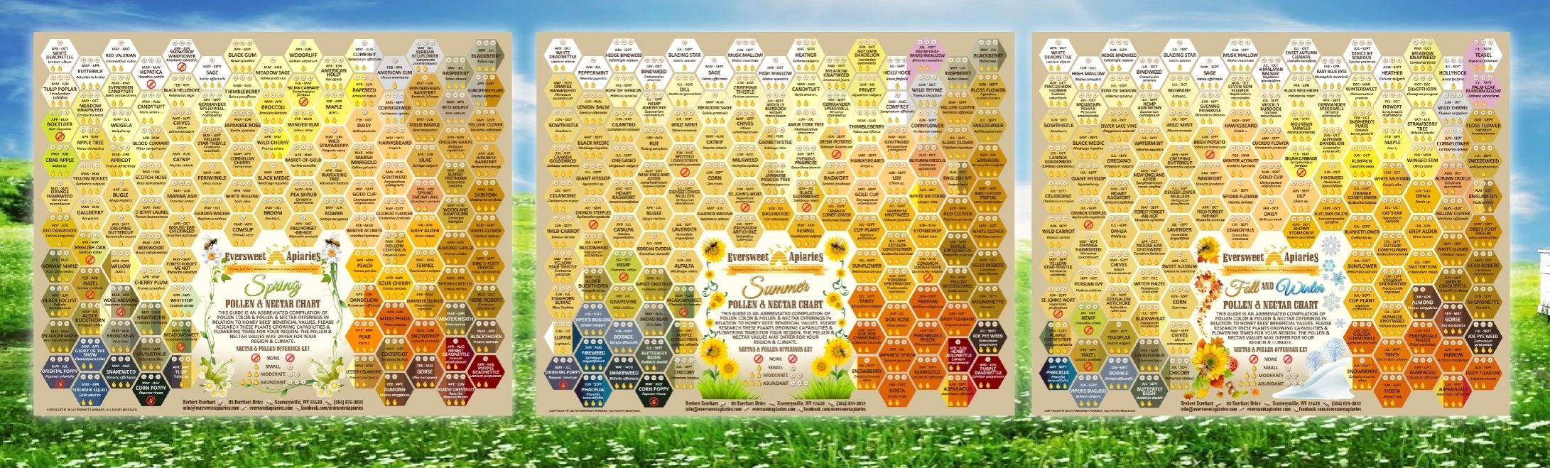 Nectar & Pollen Chart Set (Spring, Summer, Fall/Winter)