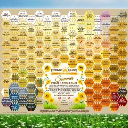 Nectar & Pollen Chart Set (Spring, Summer, Fall/Winter)