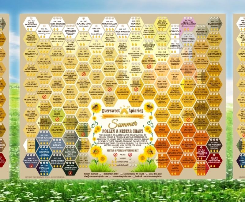 Nectar & Pollen Chart Set (Spring, Summer, Fall/Winter)