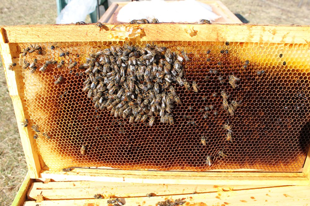 It’s February….Keep an eye on your hives!