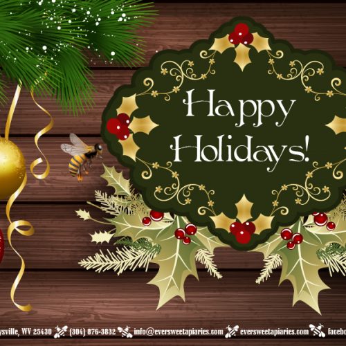 Masterstudy WordPress