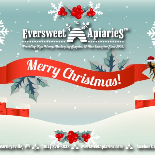 Merry Christmas Gift Card