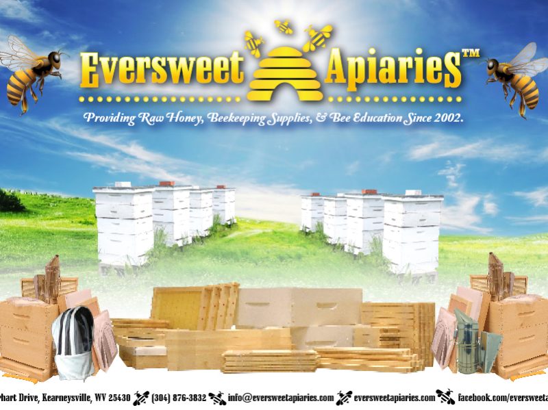 General Gift Card – Eversweet