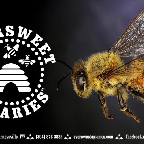 General Gift Card - Bee 1