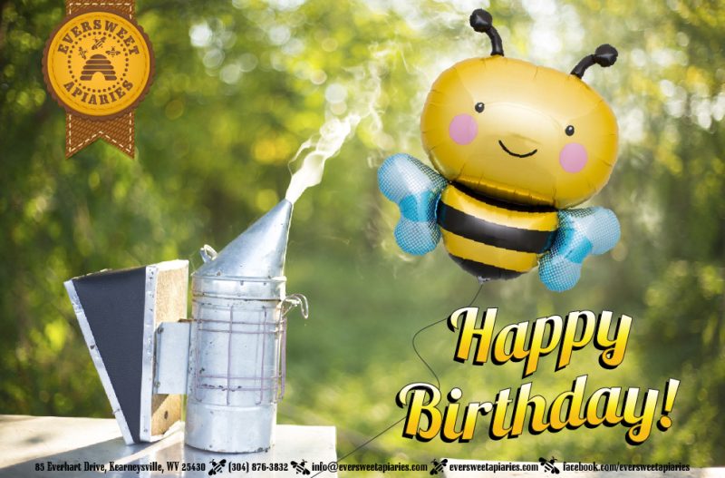 Birthday Gift Card – Bee