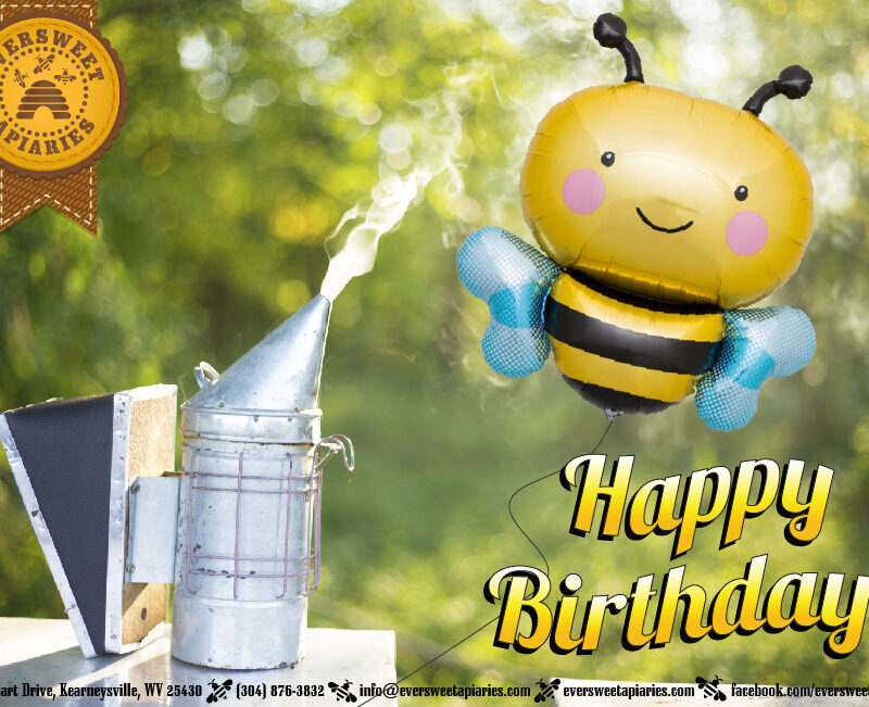 Birthday Gift Card – Bee