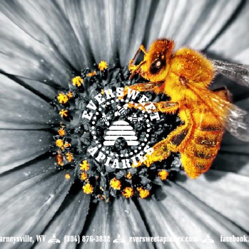 General Gift Card – Bee 2