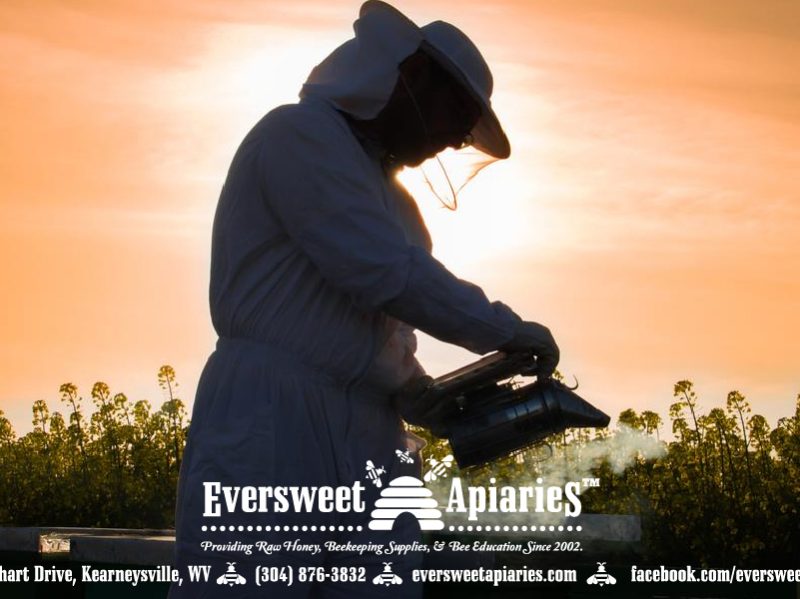 General Gift Card – Beekeeper 2