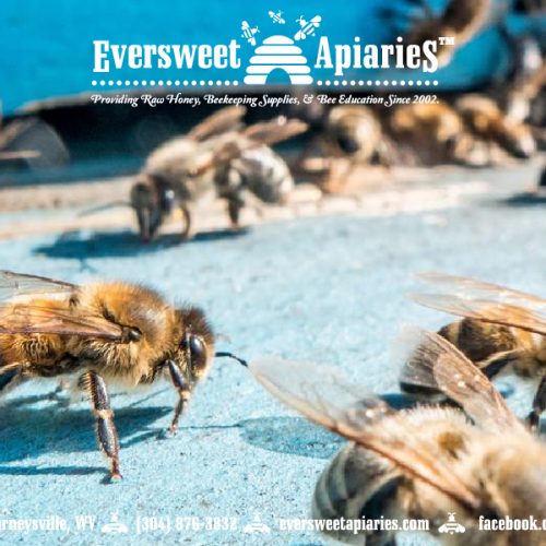 General Gift Card – Bee 4