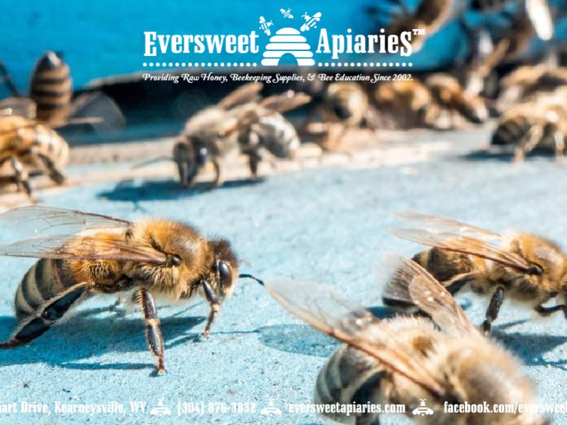 General Gift Card – Bee 4