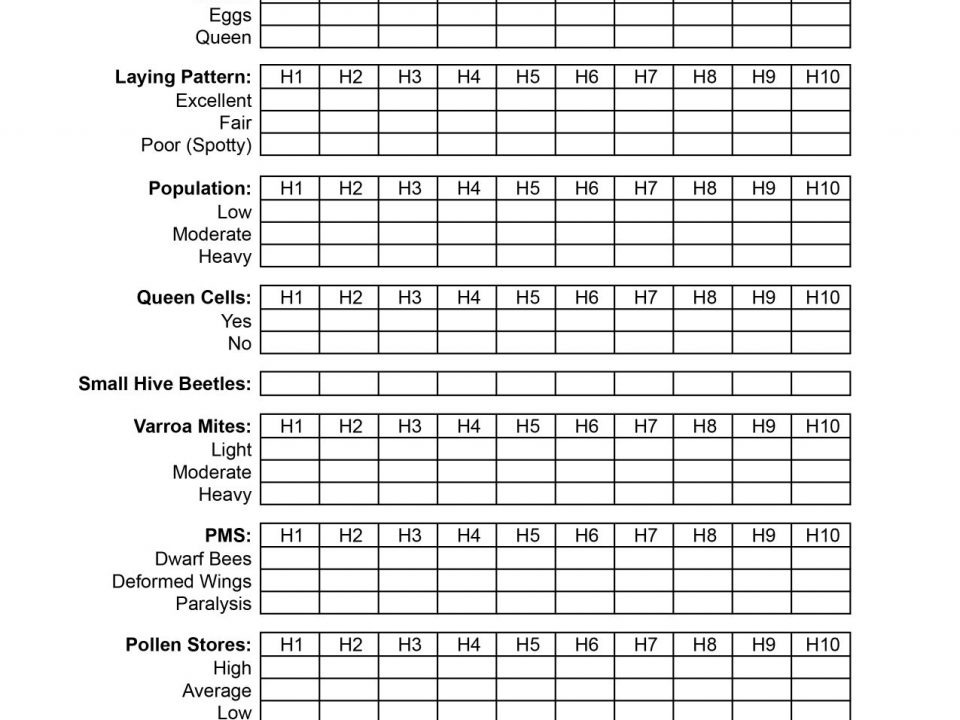 Hive Inspection Form