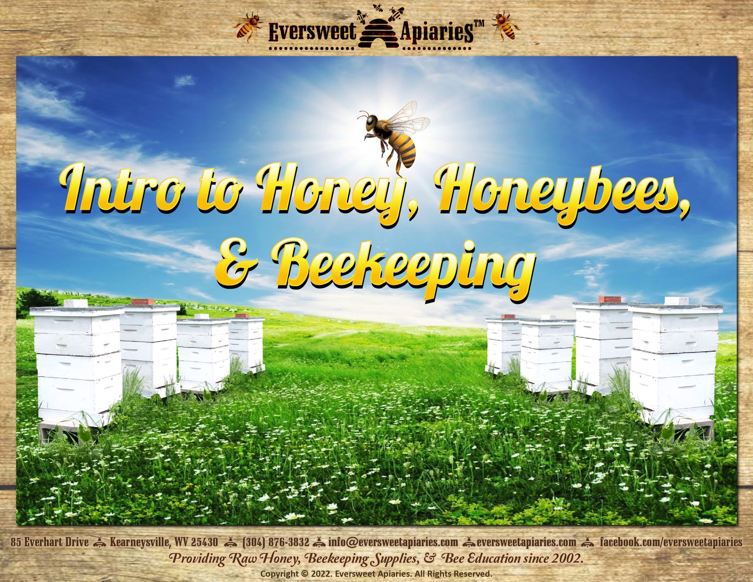 Online Intro to Honey, Honeybees, & Beekeeping – Eversweet Apiaries