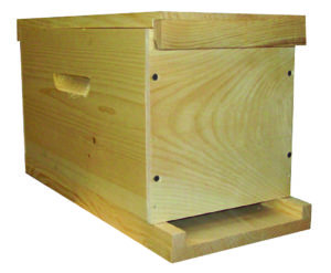 Deep Nuc - Complete