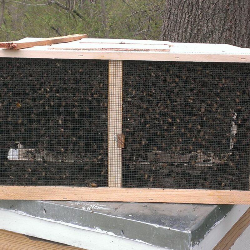 Package Bees